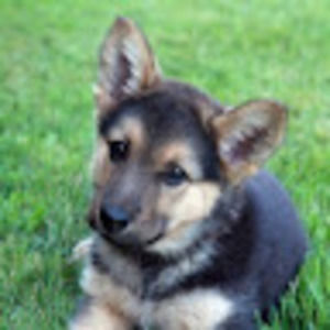 Meet your Posher, Rylan